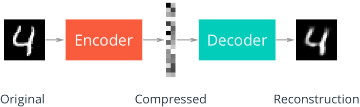 Autoencoder Schema
